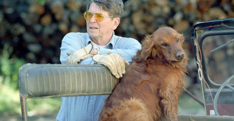 what kind of dog did ronald reagan have