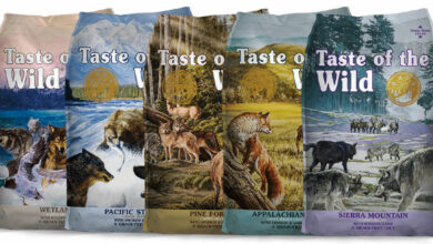 what stores sell taste of the wild dog food