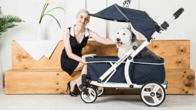 where can you take a dog in a stroller