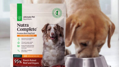 who sells nutra complete dog food